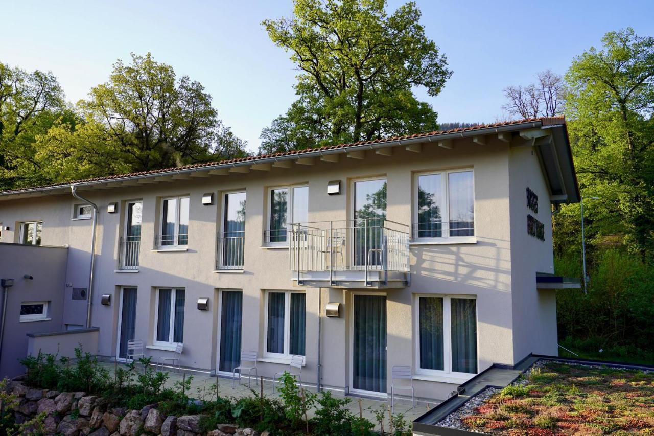 Busses Guesthouse 프라이부르크 임 브리스가우 외부 사진