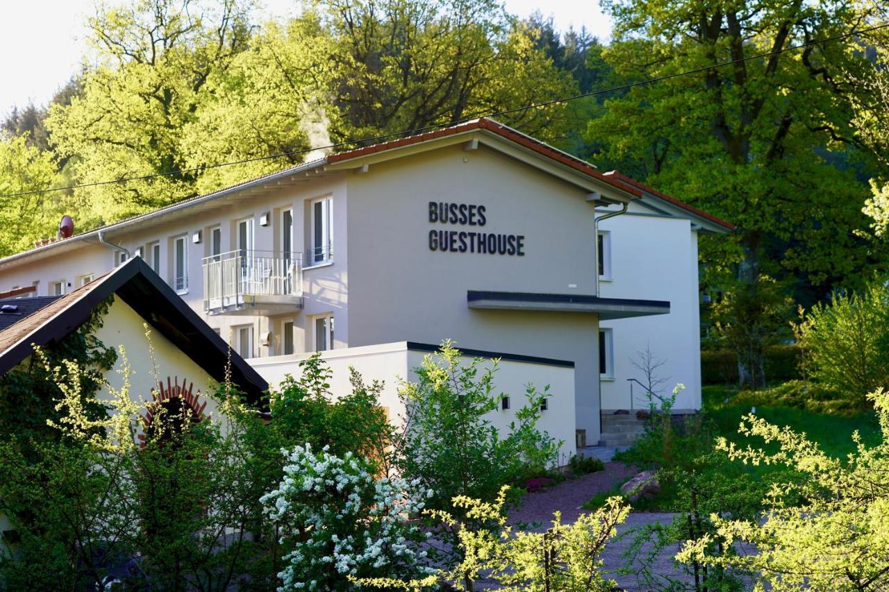 Busses Guesthouse 프라이부르크 임 브리스가우 외부 사진